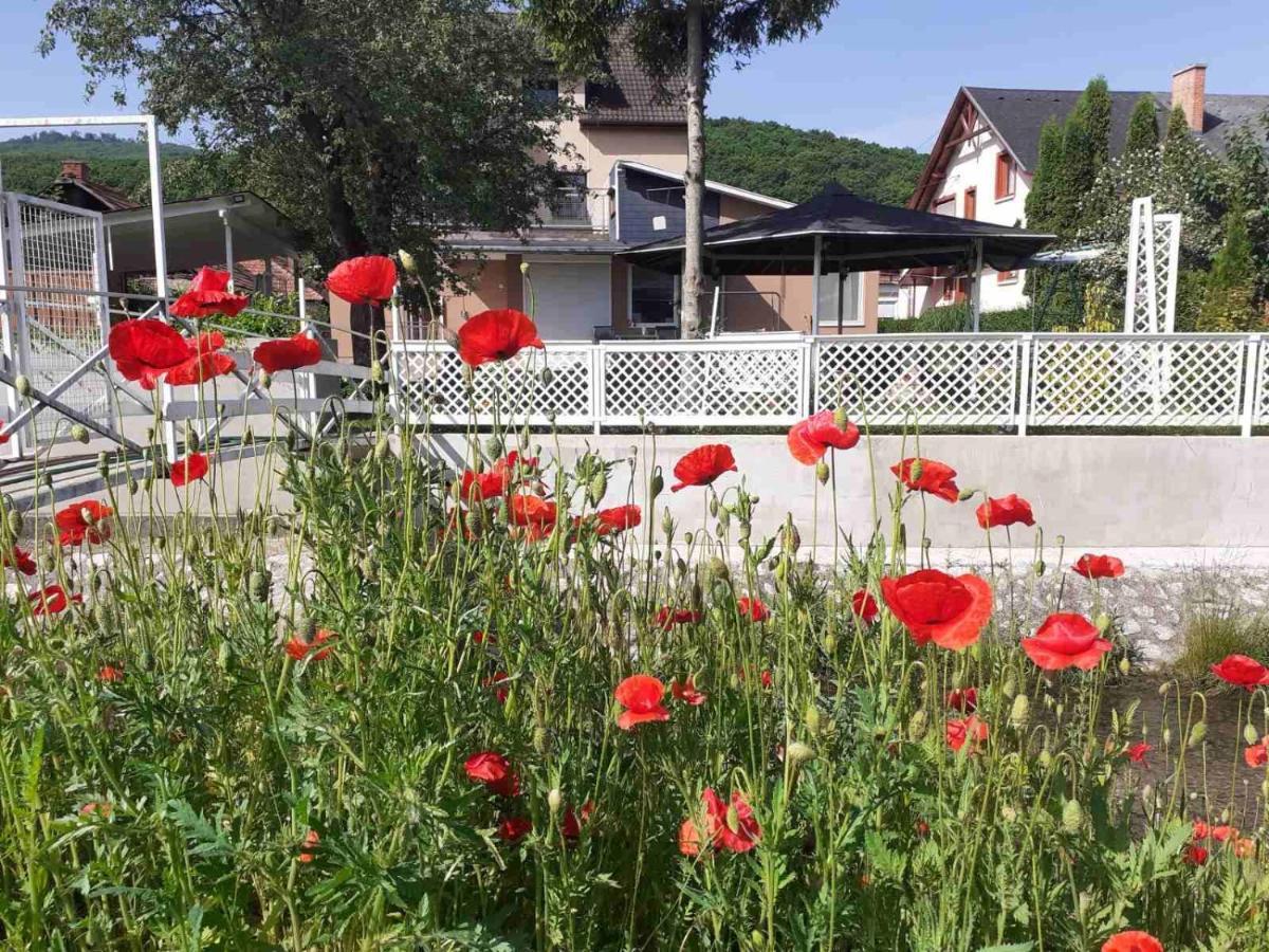 Riverside Apartman**** Miskolc Dış mekan fotoğraf