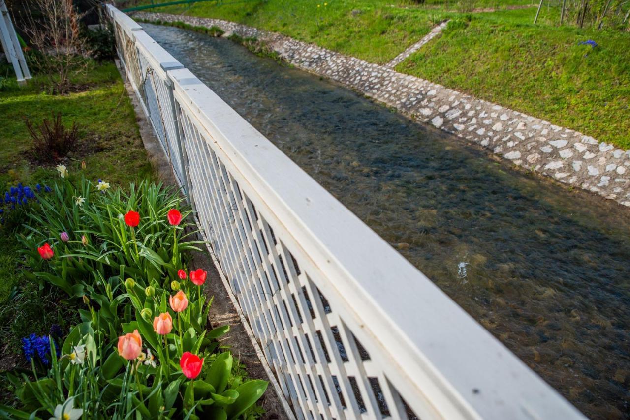 Riverside Apartman**** Miskolc Dış mekan fotoğraf